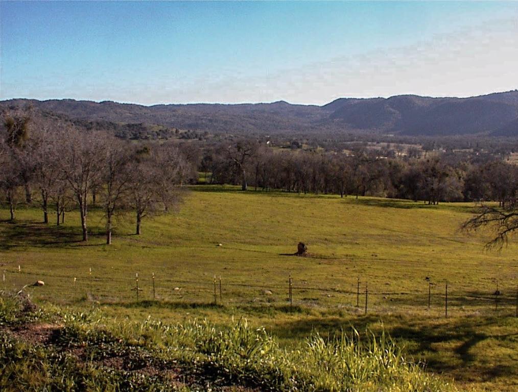 39950 Millwood Rd, Dunlap, CA 93621