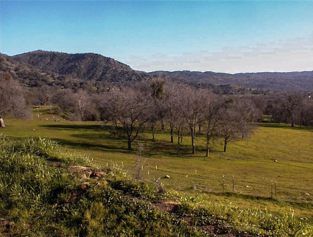 39950 Millwood Rd, Dunlap, CA 93621