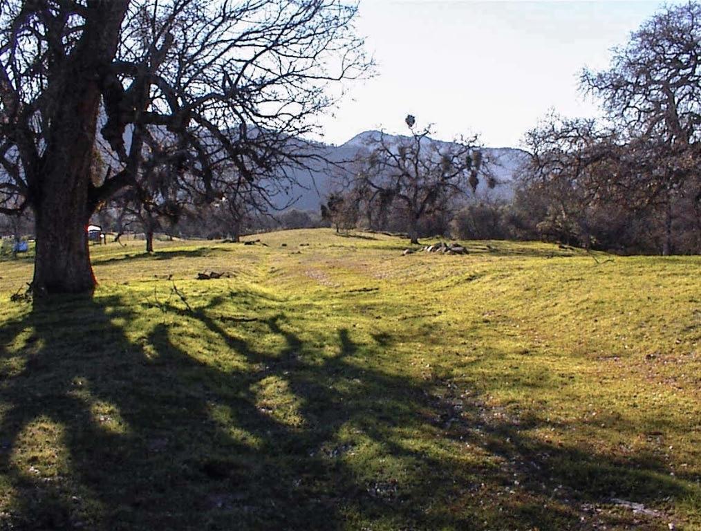 39950 Millwood Rd, Dunlap, CA 93621