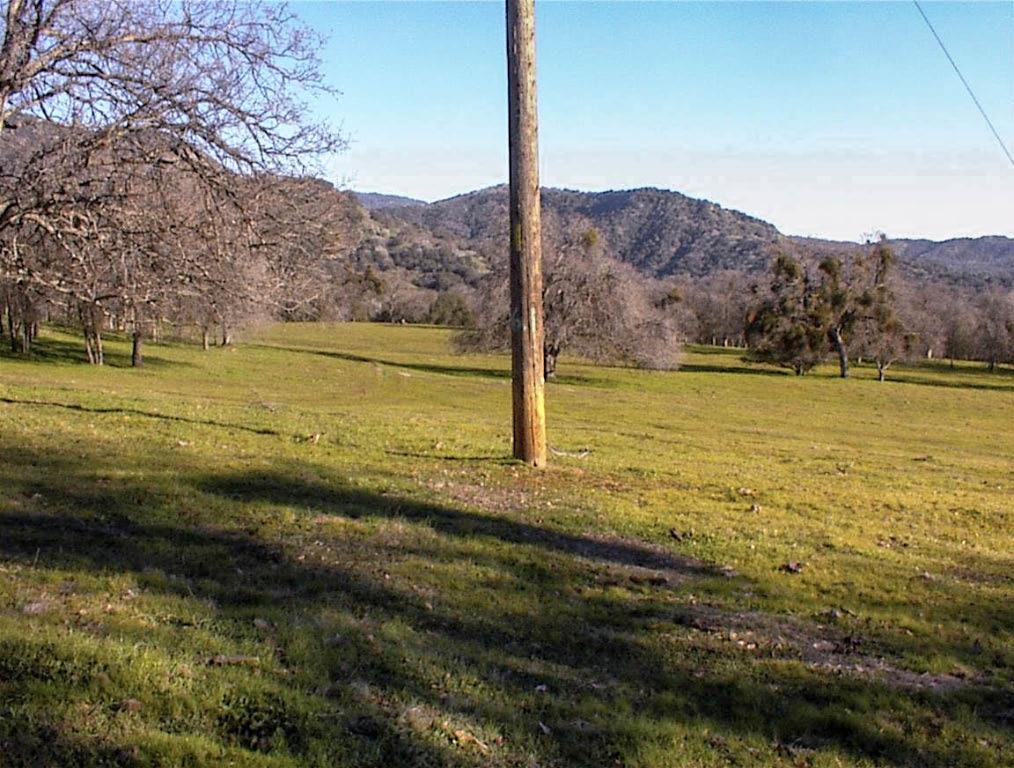 39950 Millwood Rd, Dunlap, CA 93621