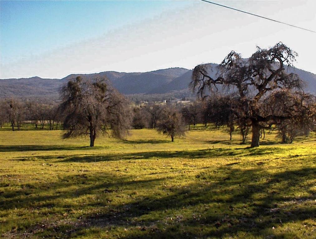 39950 Millwood Rd, Dunlap, CA 93621