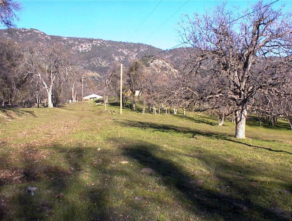 39950 Millwood Rd, Dunlap, CA 93621