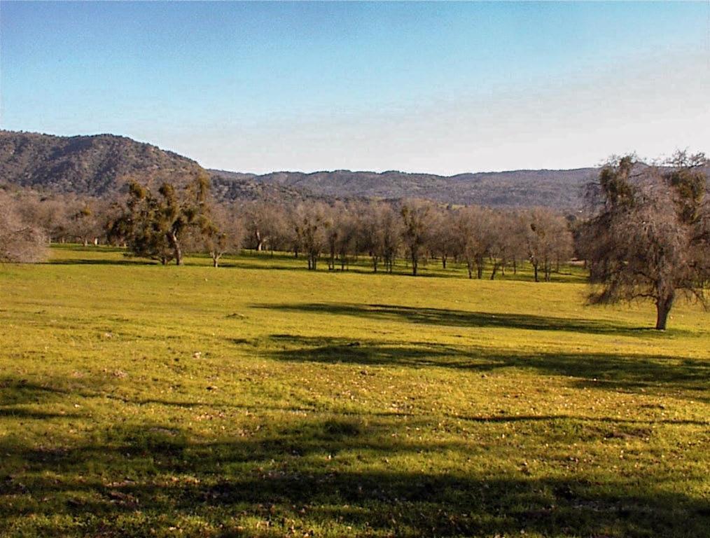 39950 Millwood Rd, Dunlap, CA 93621