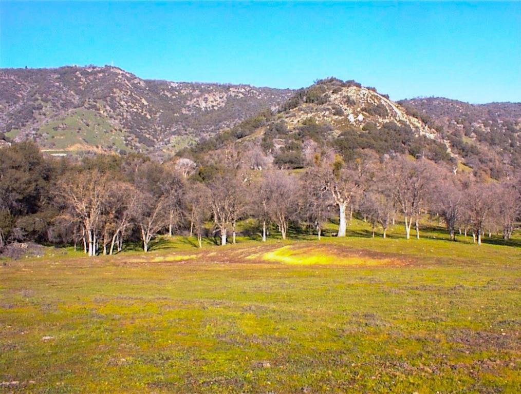 39950 Millwood Rd, Dunlap, CA 93621