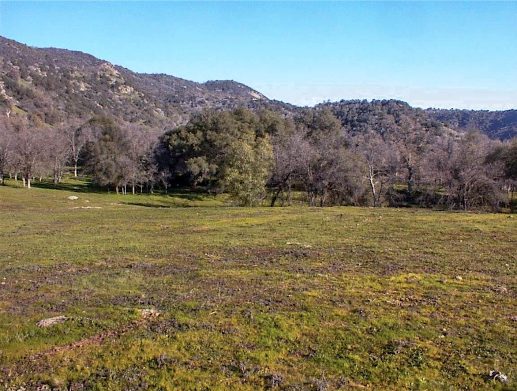 39950 Millwood Rd, Dunlap, CA 93621