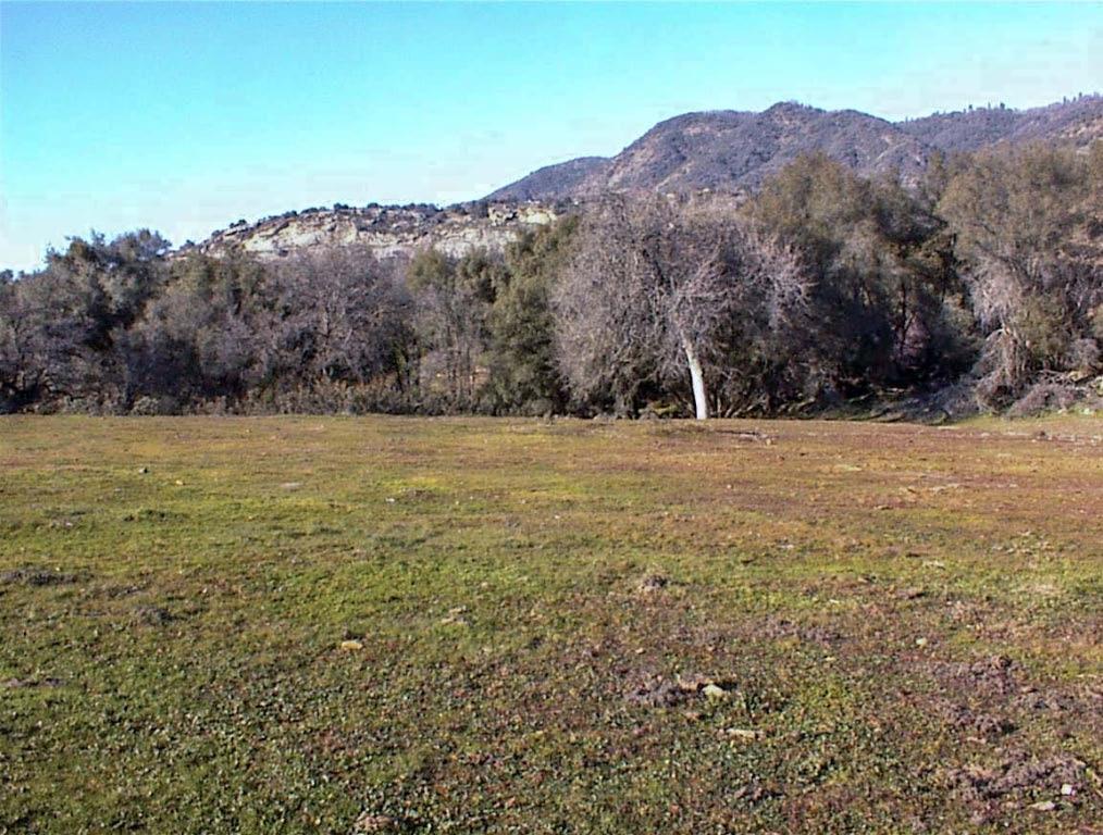 39950 Millwood Rd, Dunlap, CA 93621