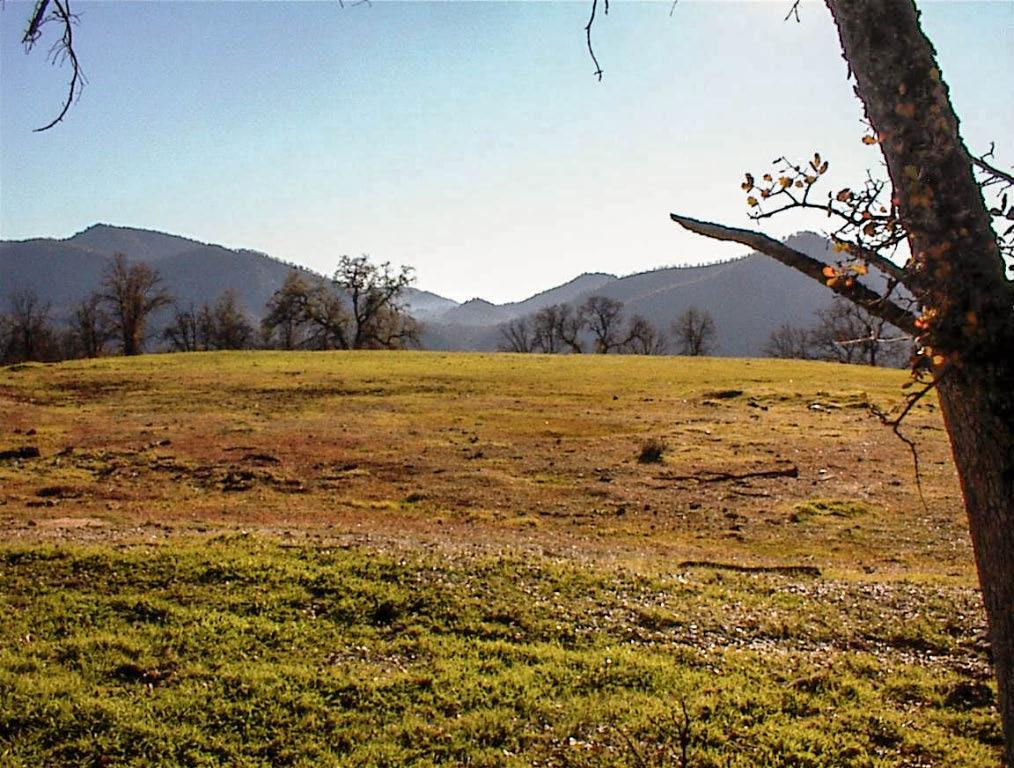 39950 Millwood Rd, Dunlap, CA 93621