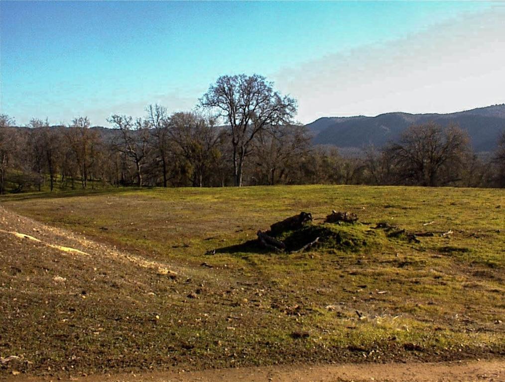 39950 Millwood Rd, Dunlap, CA 93621