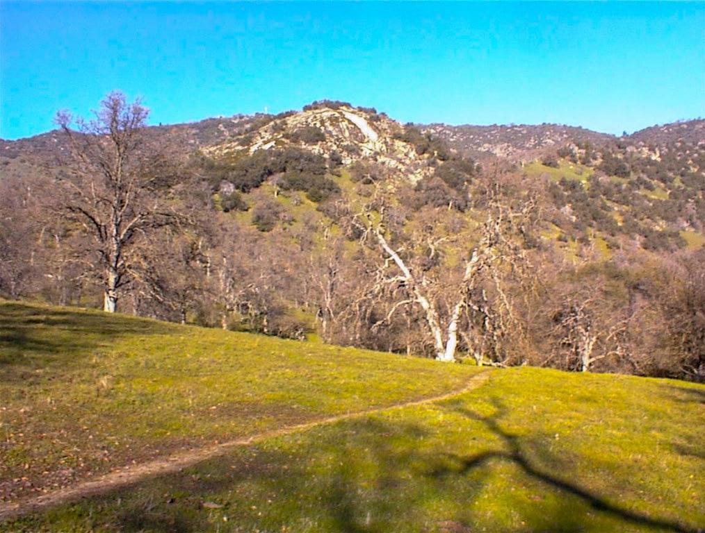 39950 Millwood Rd, Dunlap, CA 93621
