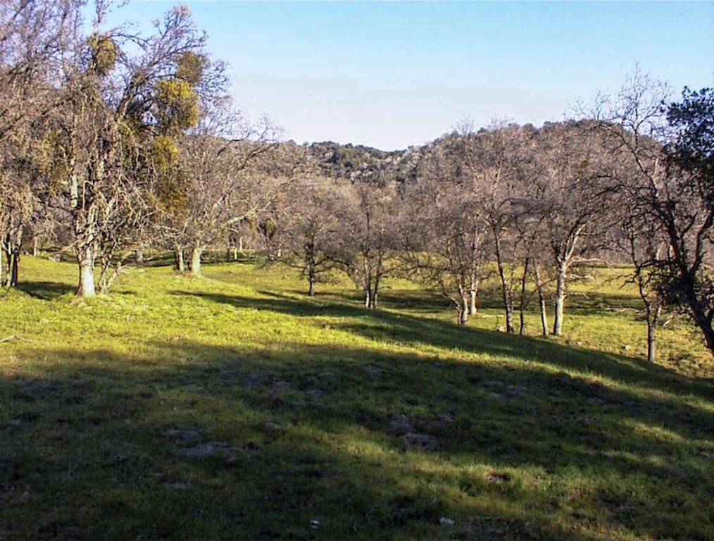 39950 Millwood Rd, Dunlap, CA 93621
