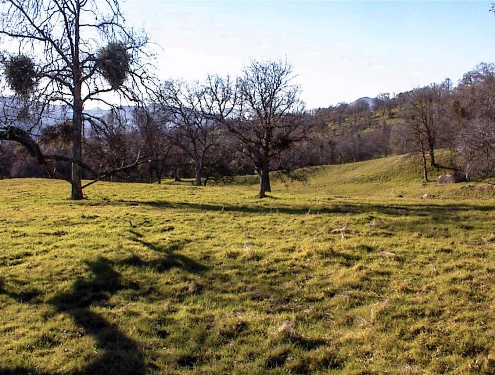 39950 Millwood Rd, Dunlap, CA 93621