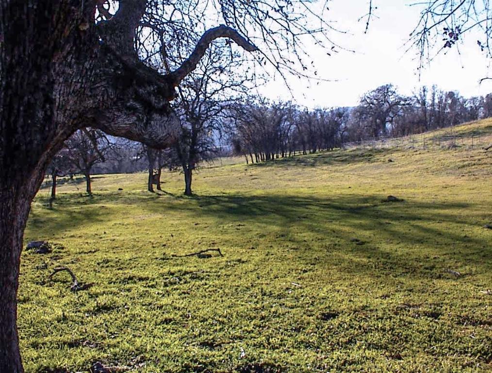 39950 Millwood Rd, Dunlap, CA 93621