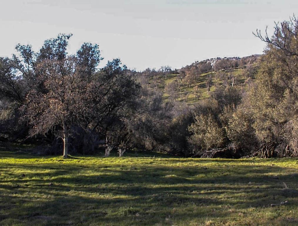39950 Millwood Rd, Dunlap, CA 93621