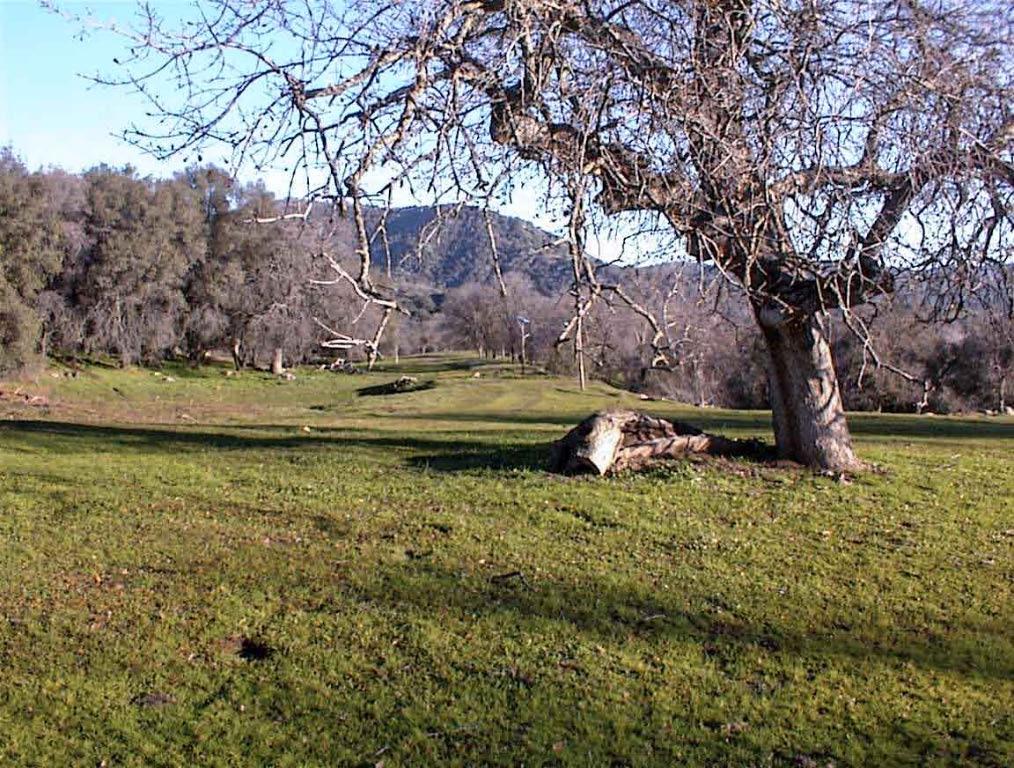 39950 Millwood Rd, Dunlap, CA 93621
