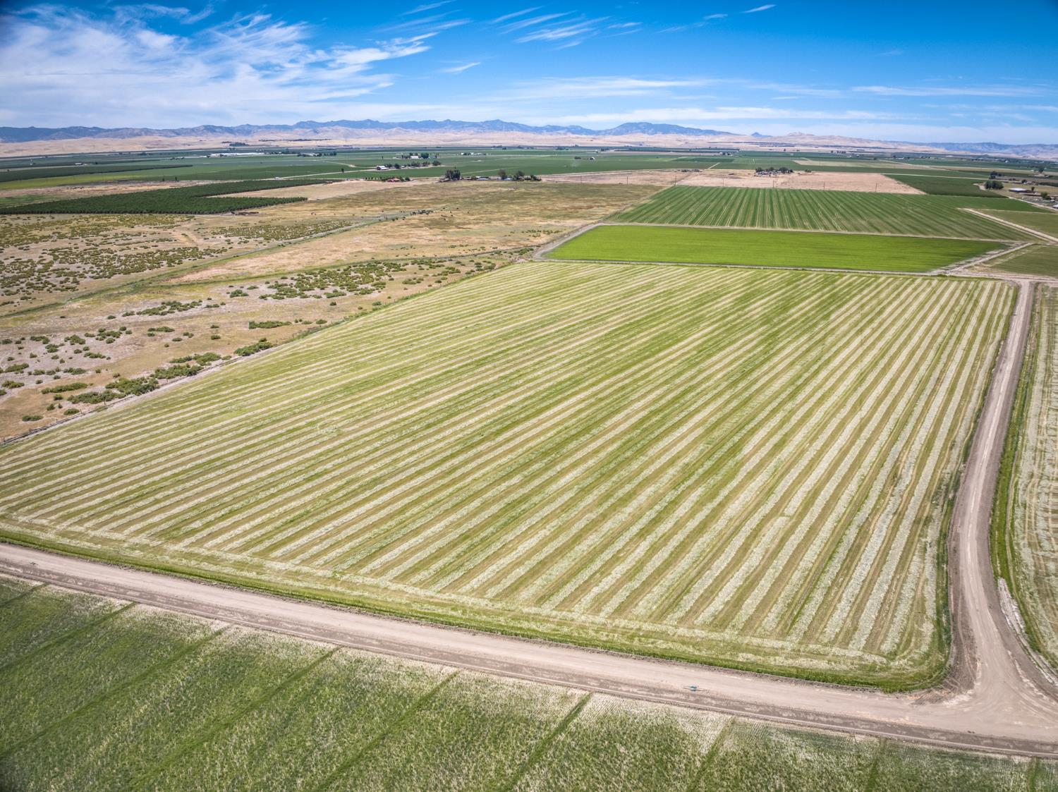17131 Cotton Rd, Los Banos, CA 93635