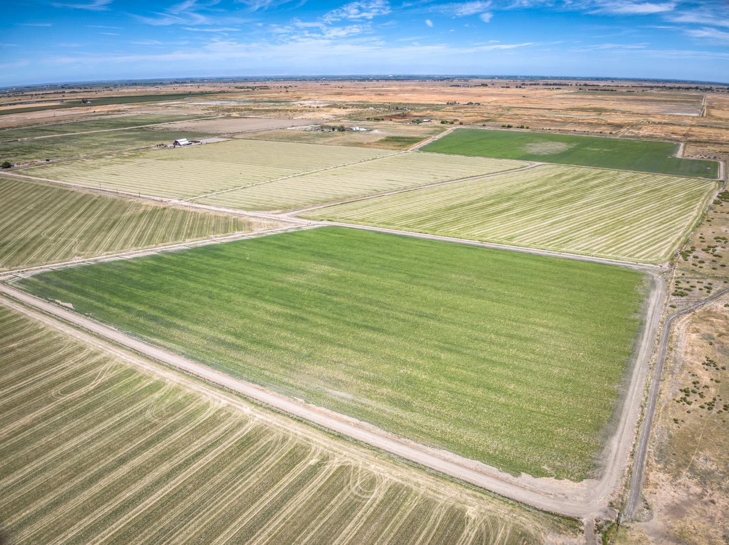 17131 Cotton Rd, Los Banos, CA 93635