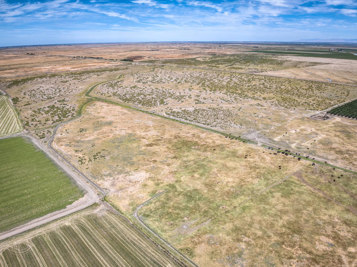 17131 Cotton Rd, Los Banos, CA 93635