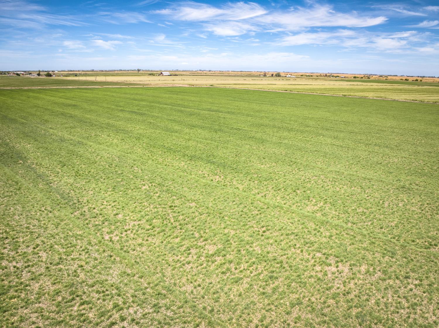 17131 Cotton Rd, Los Banos, CA 93635