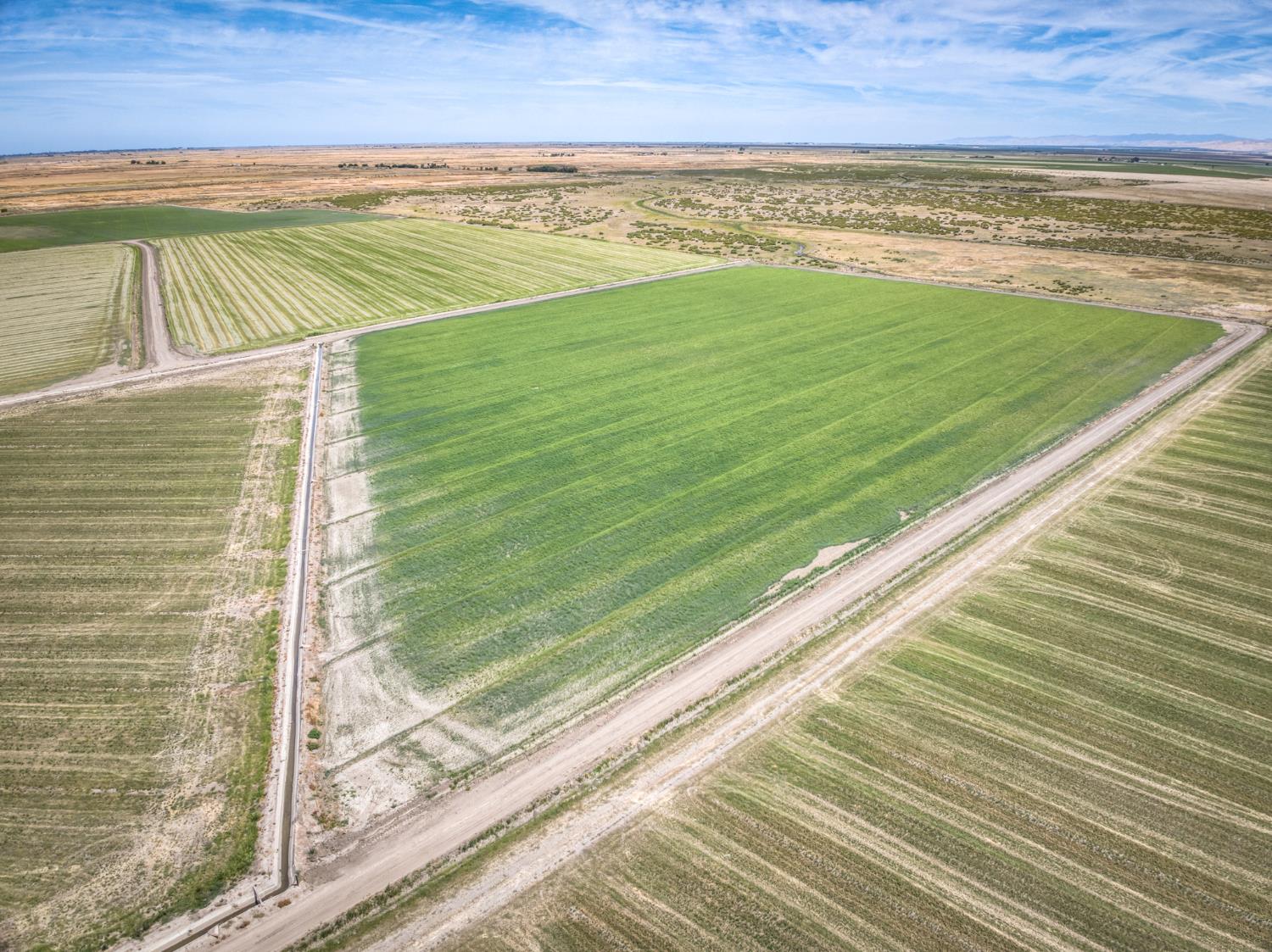 17131 Cotton Rd, Los Banos, CA 93635