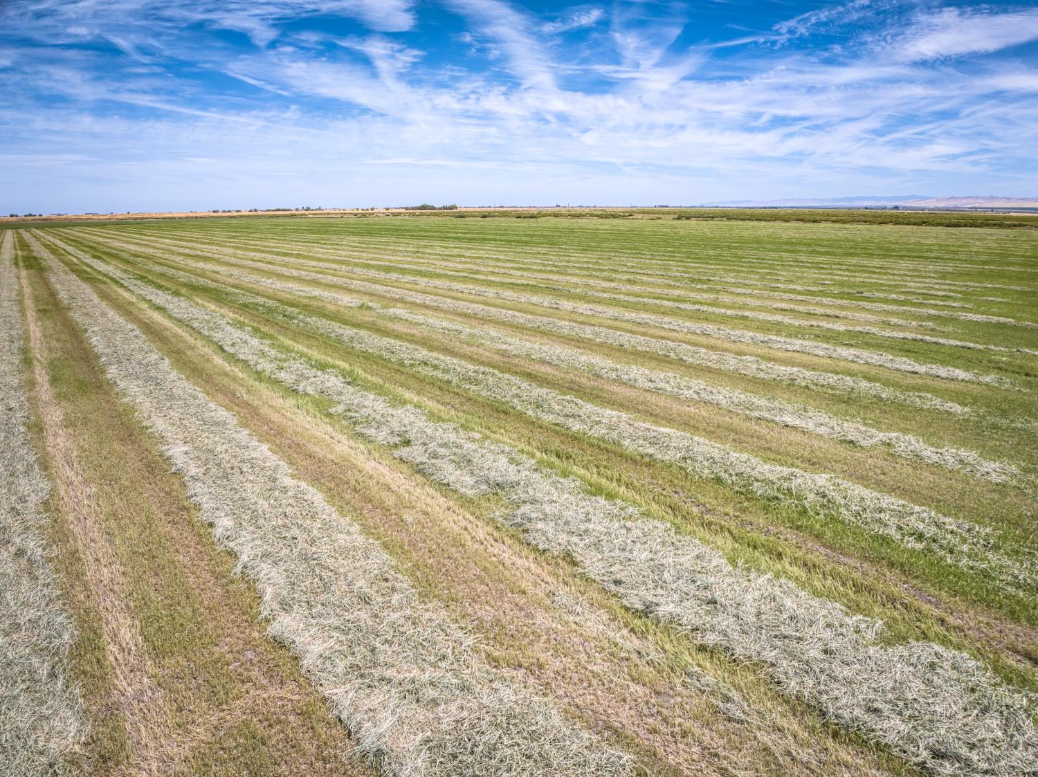 17131 Cotton Rd, Los Banos, CA 93635