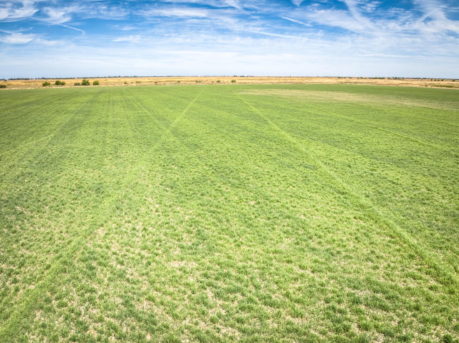 17131 Cotton Rd, Los Banos, CA 93635