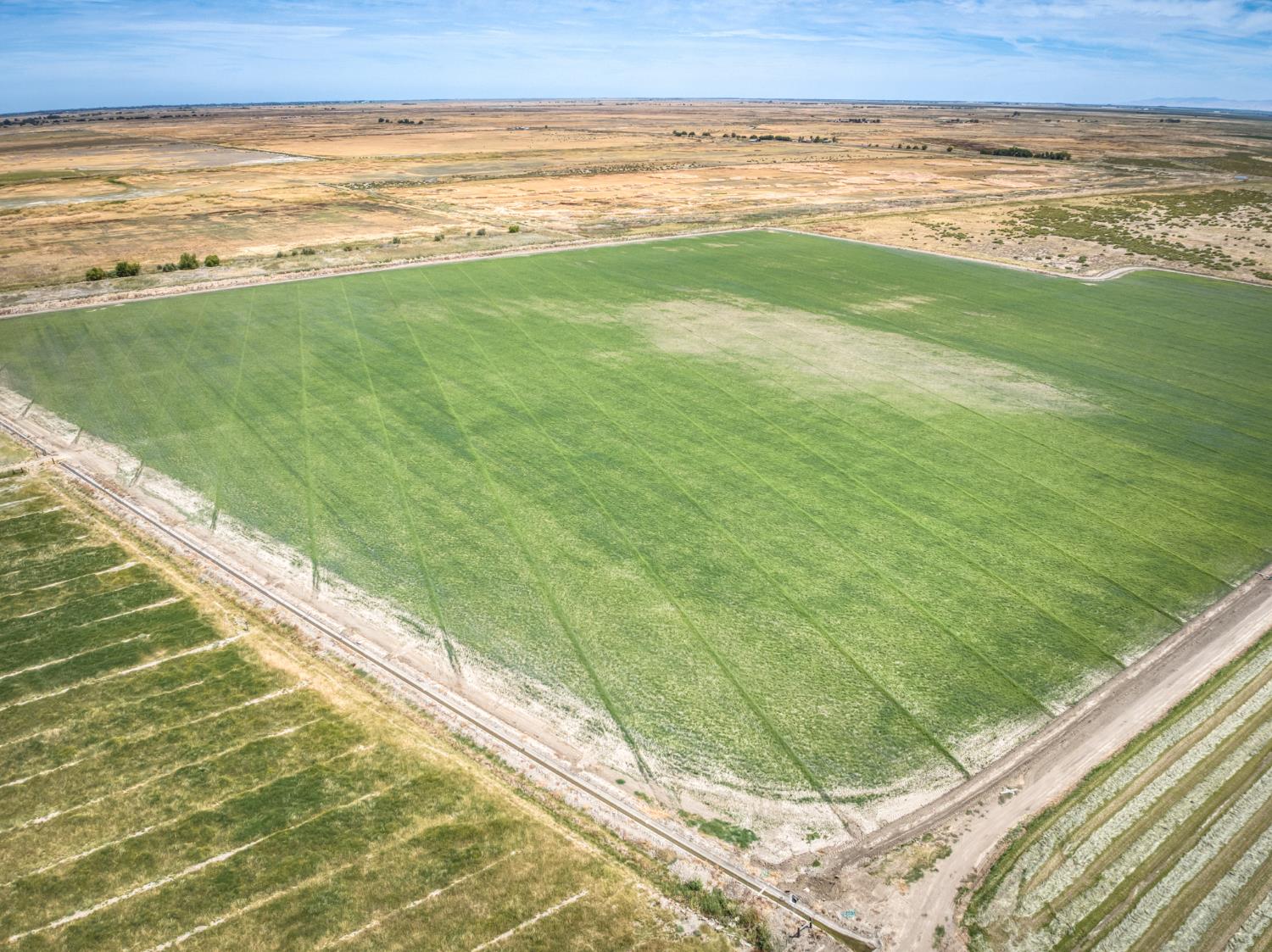 17131 Cotton Rd, Los Banos, CA 93635