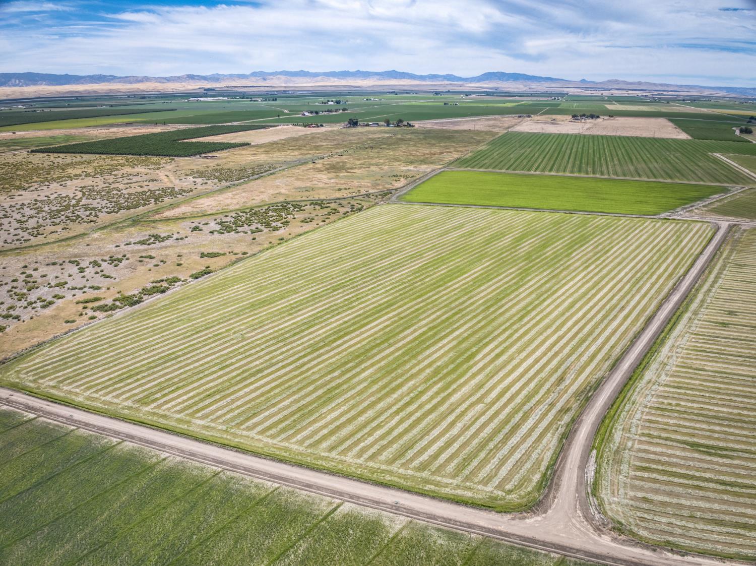 17131 Cotton Rd, Los Banos, CA 93635