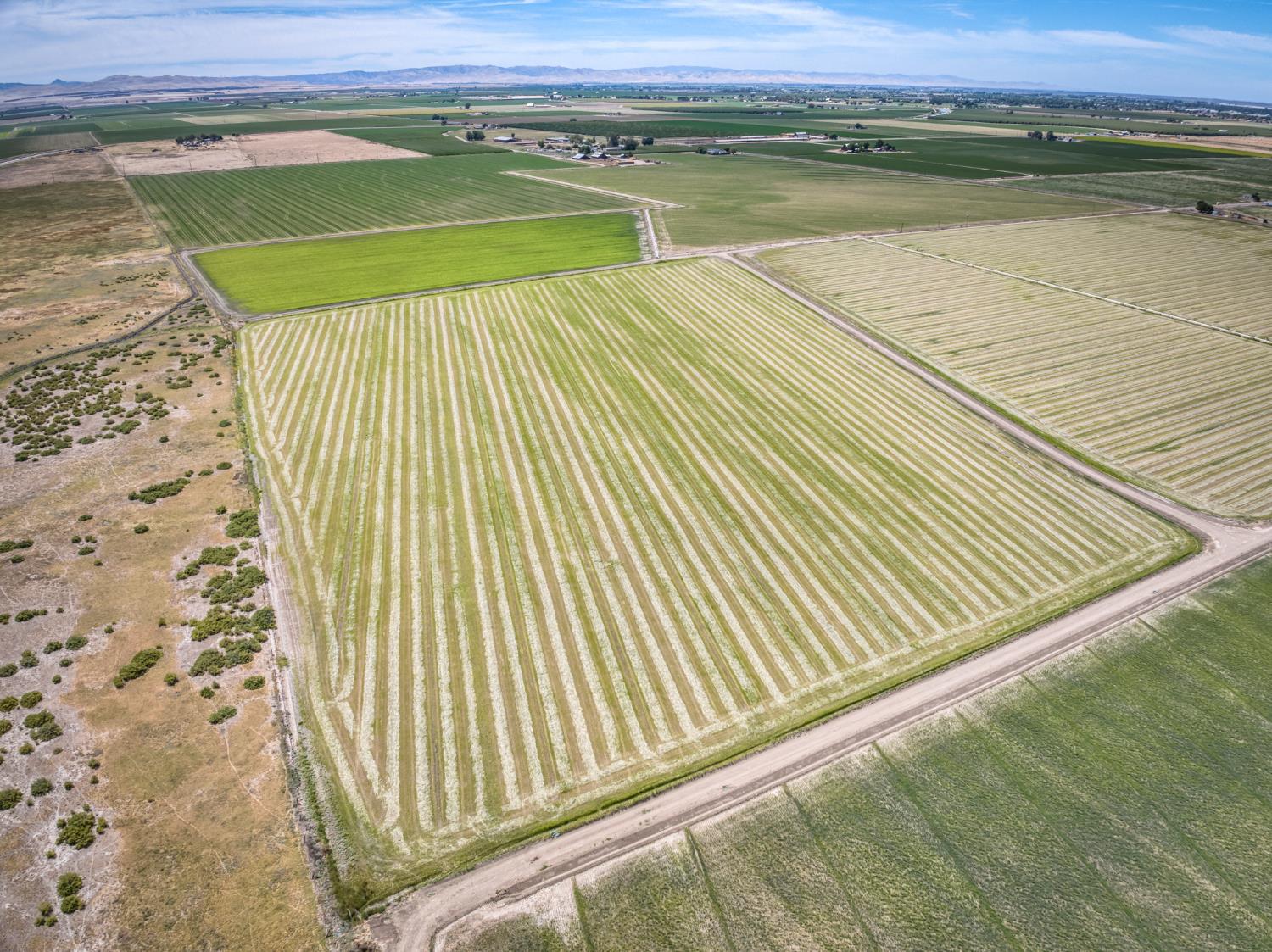 17131 Cotton Rd, Los Banos, CA 93635