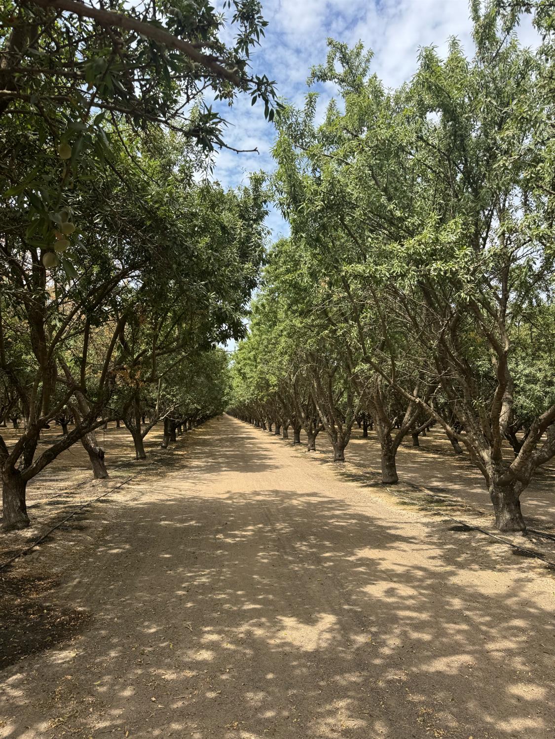 18700 Road 16, Chowchilla, CA 93610