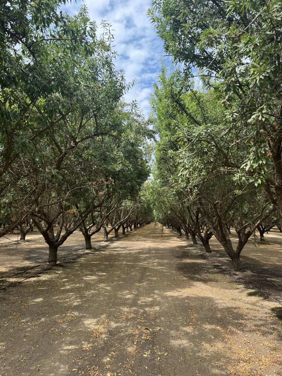 18700 Road 16, Chowchilla, CA 93610