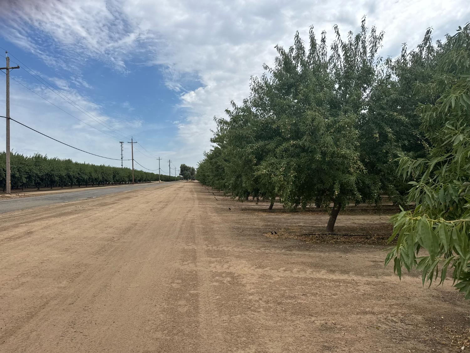 22741 Road 18 1/2, Chowchilla, CA 93610