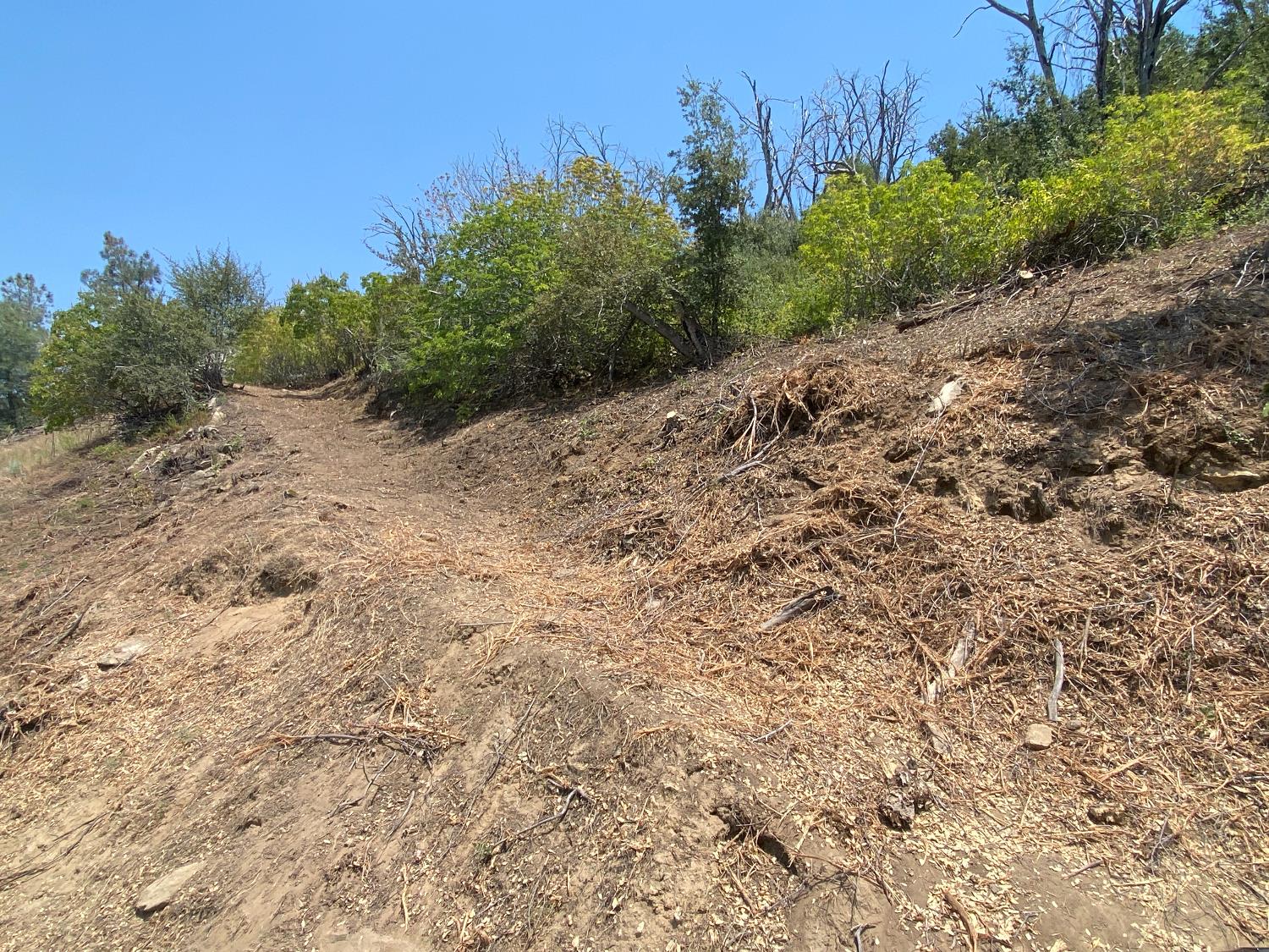 4 Harris Road, Mariposa, CA 95338