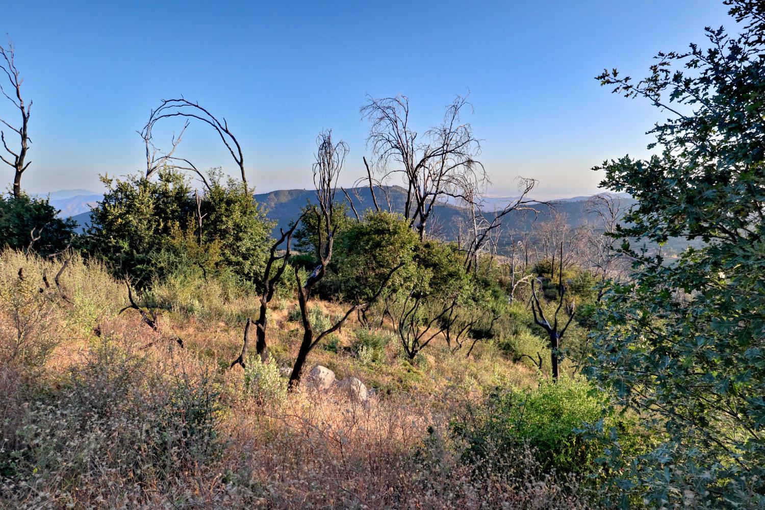 0 0 Cressman (Rocky Springs), Tollhouse, CA 93667