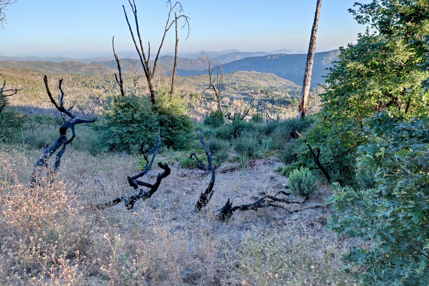 0 0 Cressman (Rocky Springs), Tollhouse, CA 93667