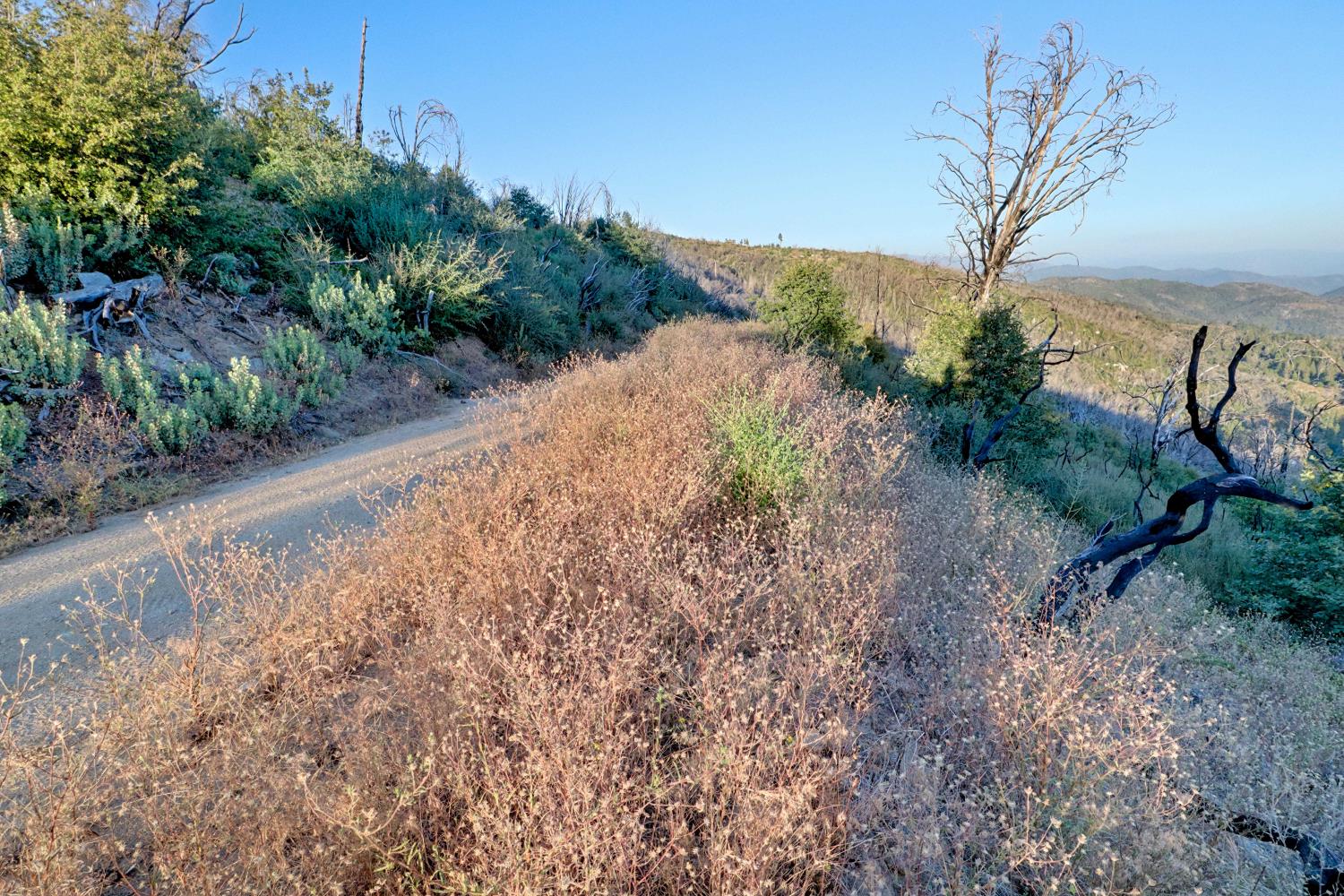0 0 Cressman (Rocky Springs), Tollhouse, CA 93667