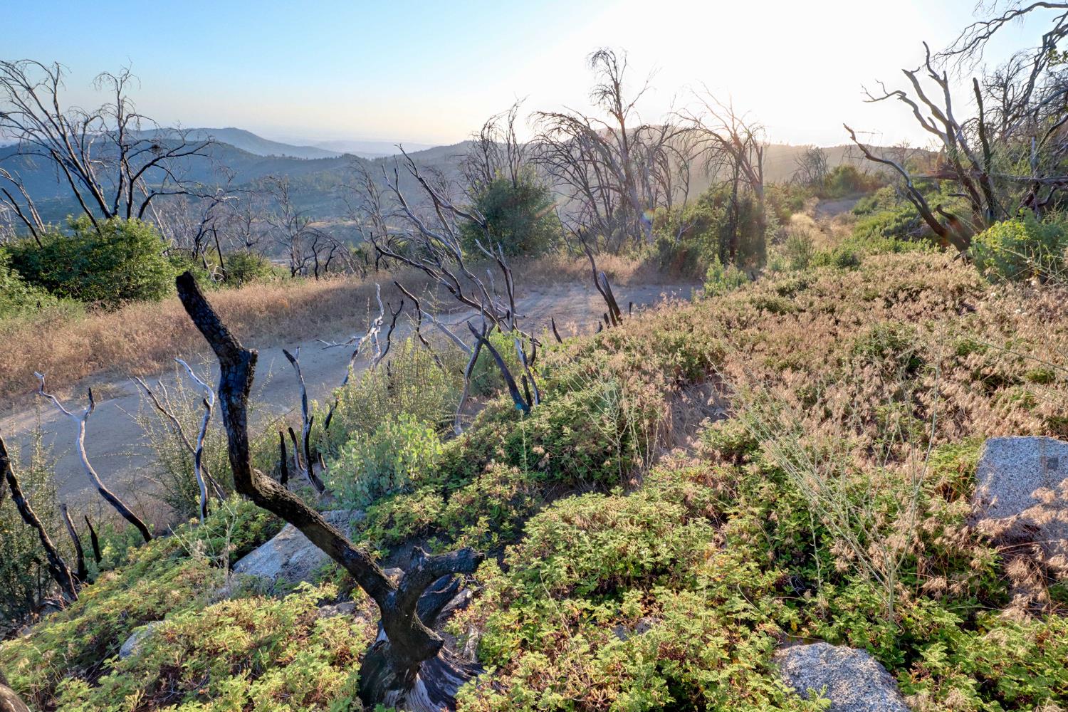 0 0 Cressman (Rocky Springs), Tollhouse, CA 93667