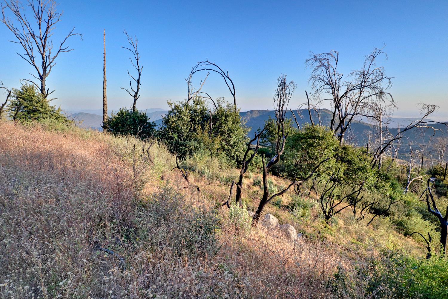 0 0 Cressman (Rocky Springs), Tollhouse, CA 93667