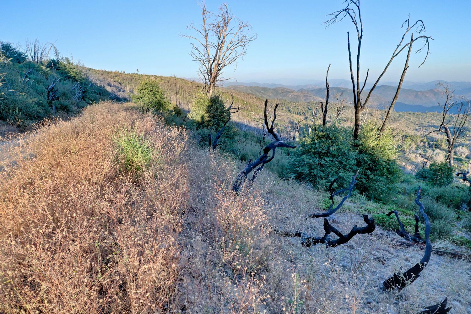 0 0 Cressman (Rocky Springs), Tollhouse, CA 93667