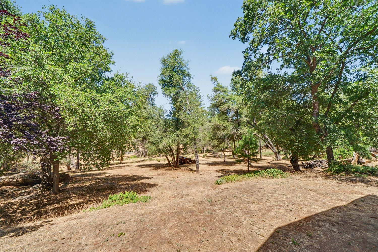 5627 Buckskin Rd, Mariposa, CA 95338