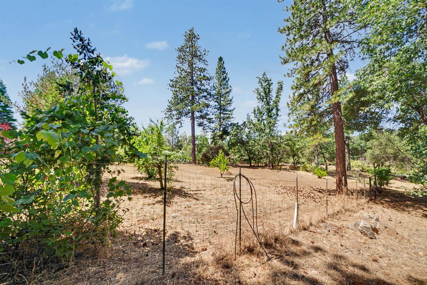 5627 Buckskin Rd, Mariposa, CA 95338