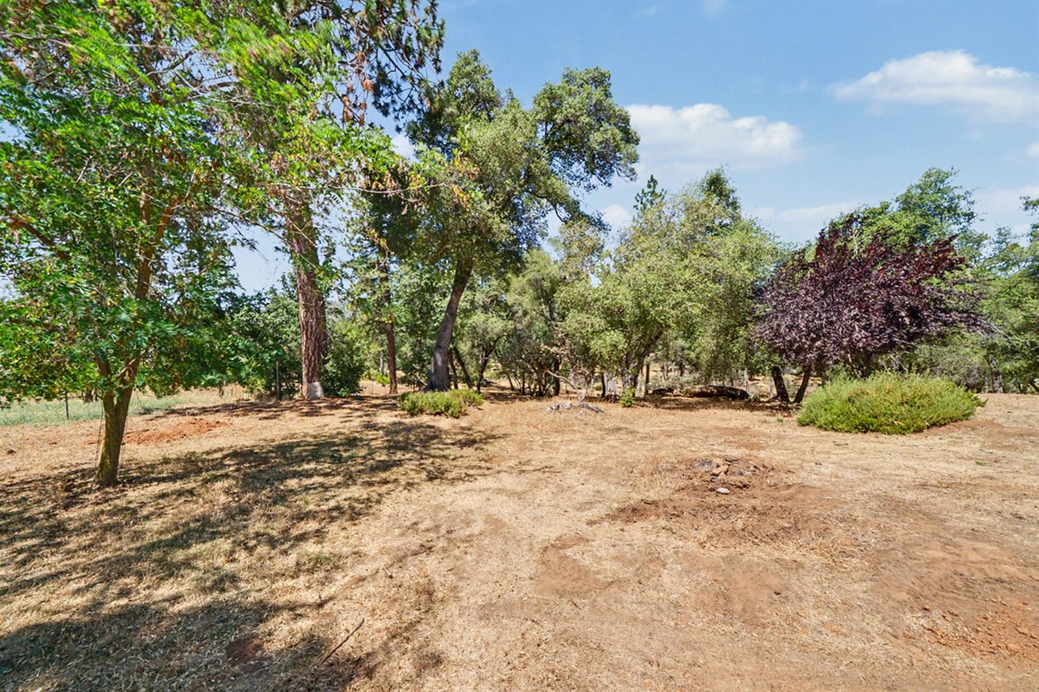 5627 Buckskin Rd, Mariposa, CA 95338