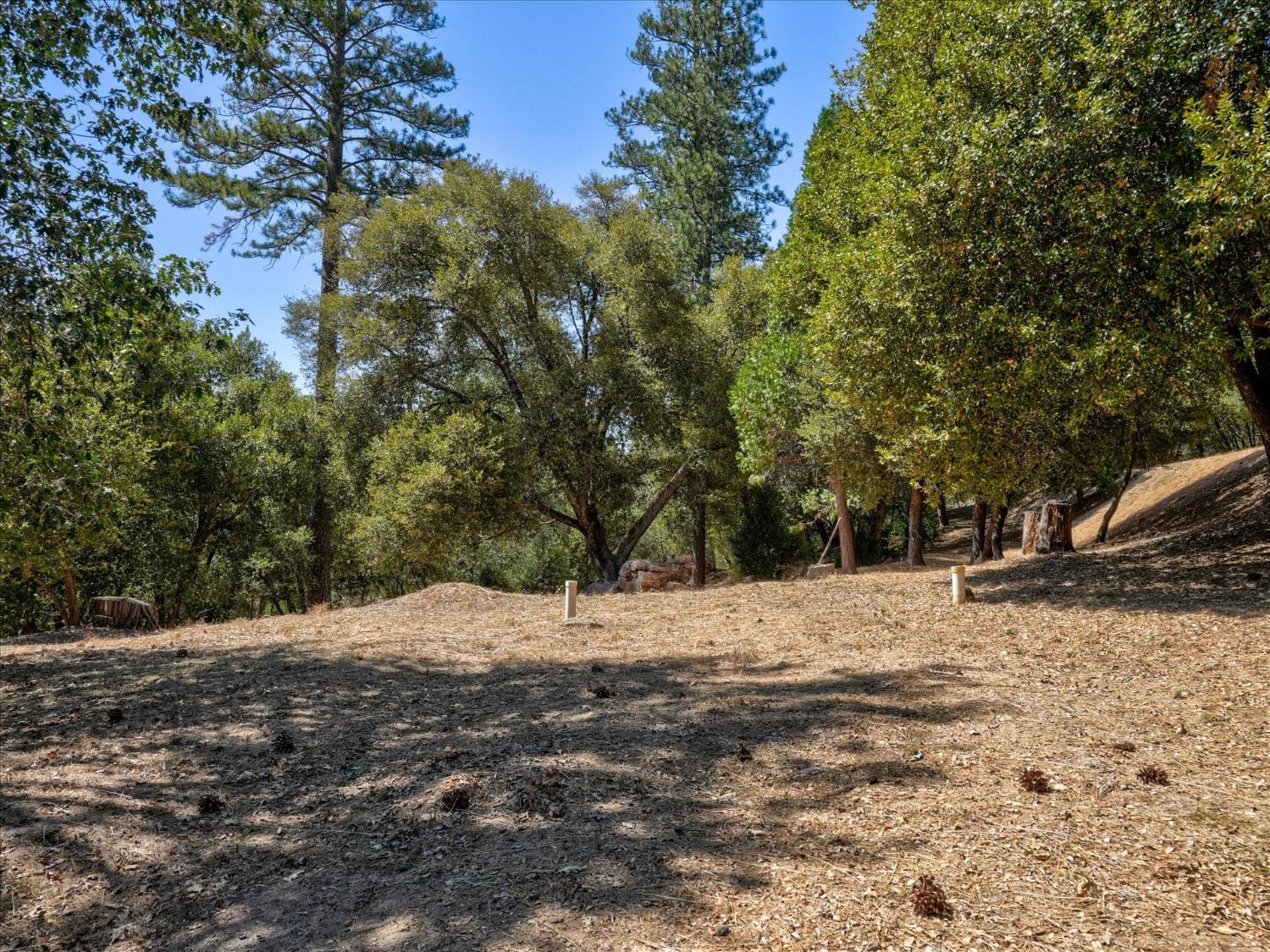 37912 China Creek Rd, Oakhurst, CA 93644