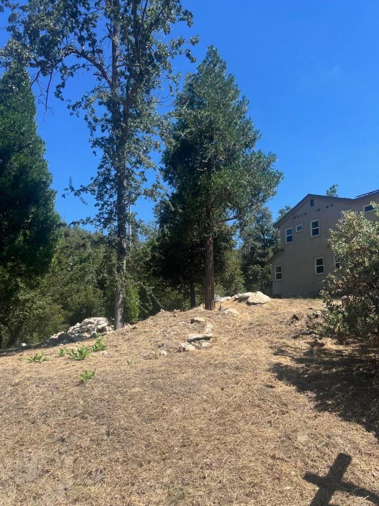 53974 Dogwood Creek Dr, Bass Lake, CA 93604