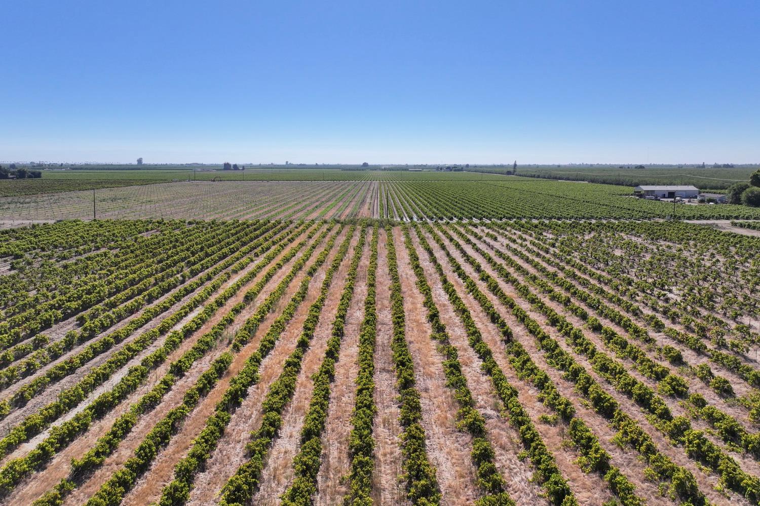 1287 N Trinity Ave, Kerman, CA 93630
