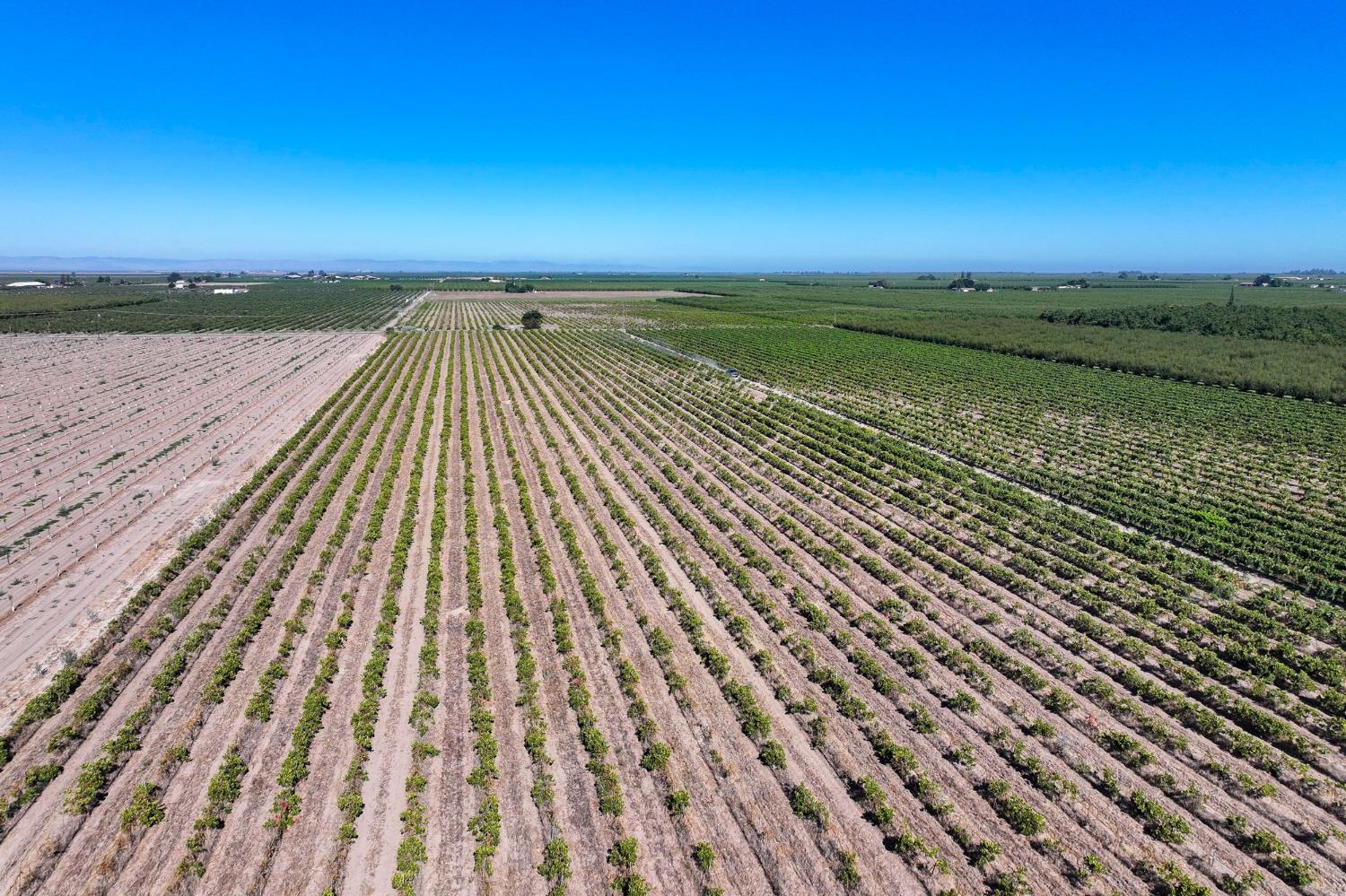 1287 N Trinity Ave, Kerman, CA 93630