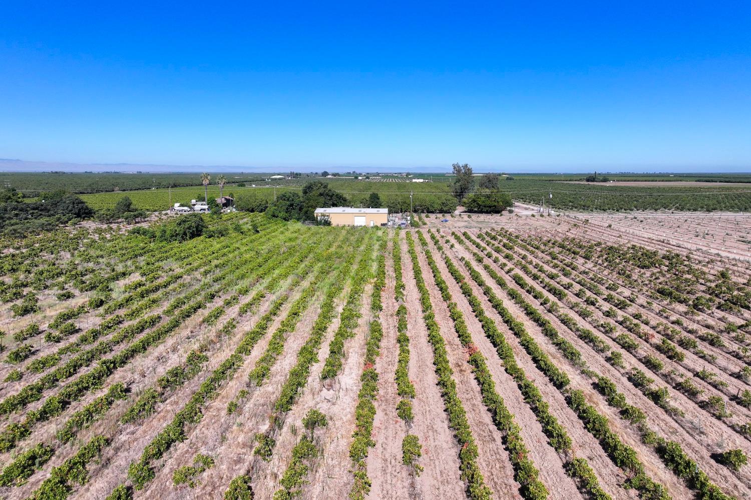 1287 N Trinity Ave, Kerman, CA 93630