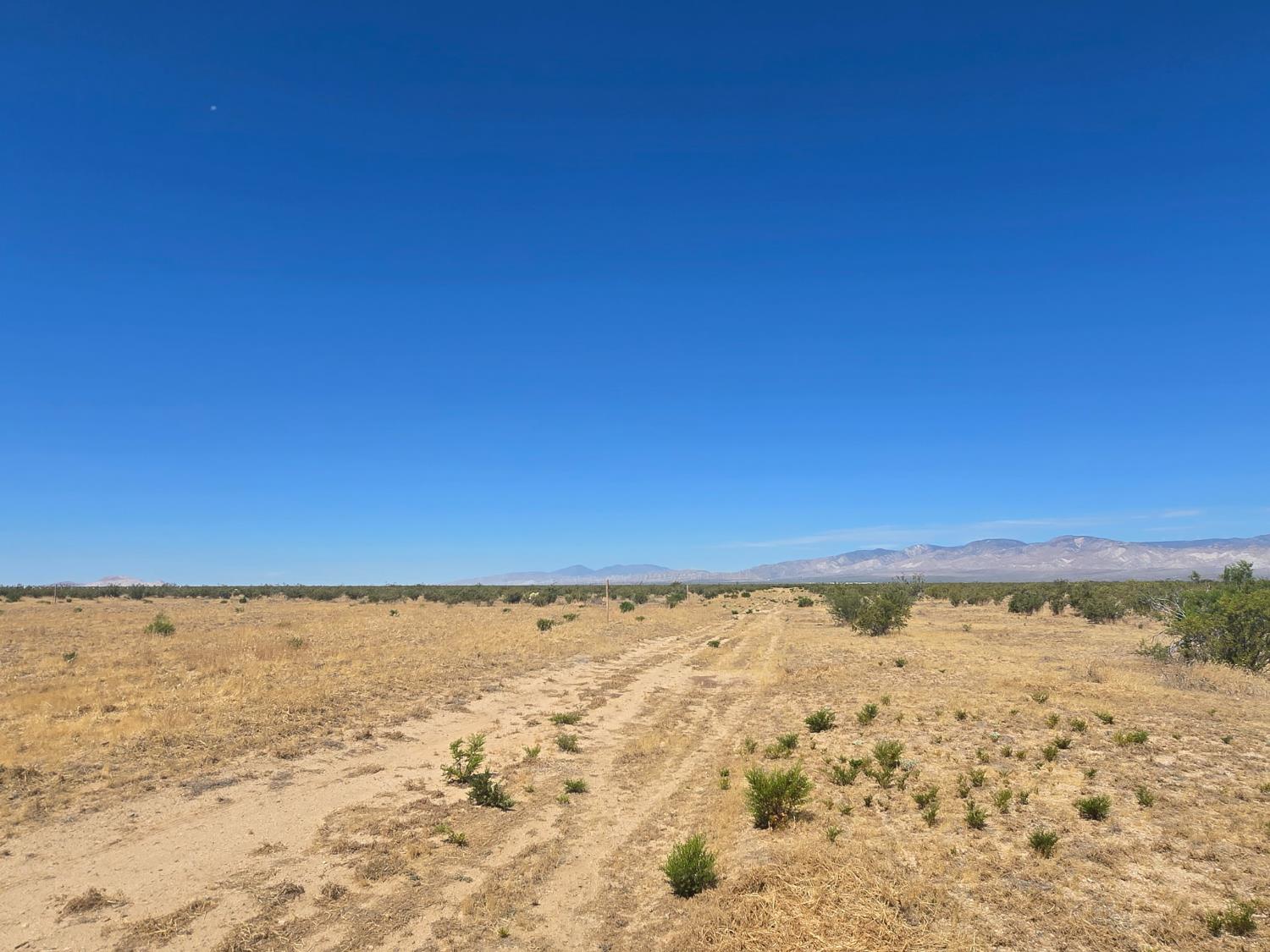1234 Ryan Ave, California City, CA 93505