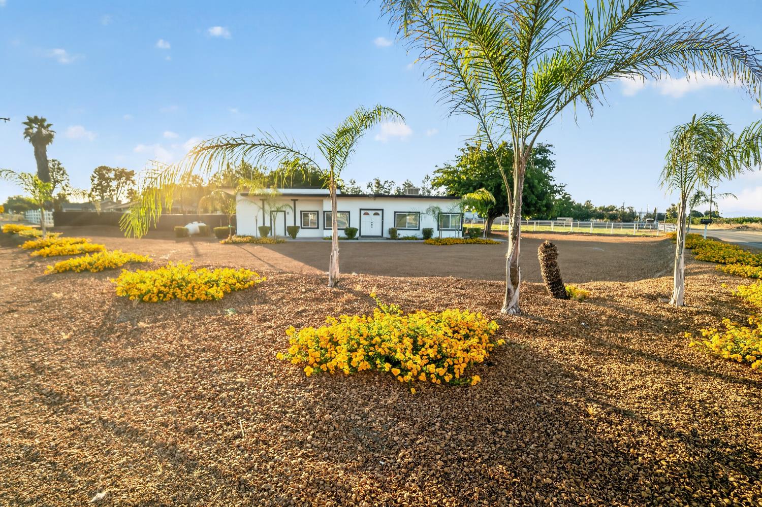 Open Photo