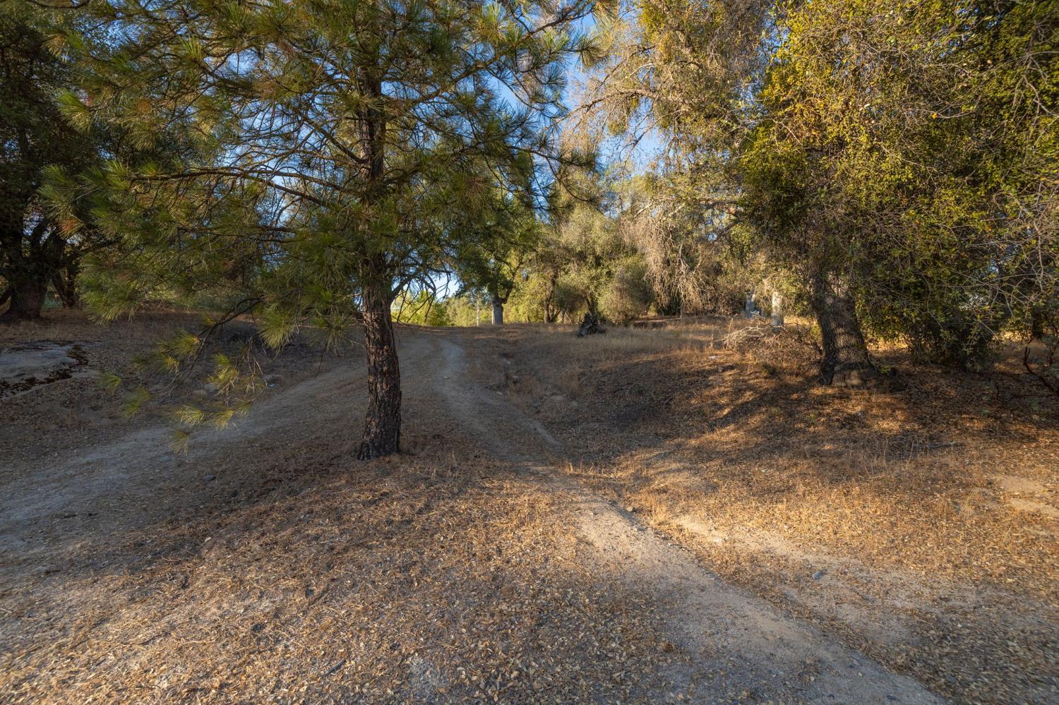 1 Junction Dr, Oakhurst, CA 93644