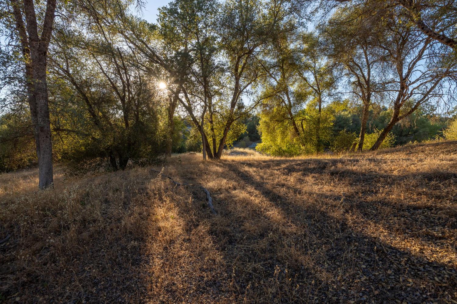 1 Junction Dr, Oakhurst, CA 93644